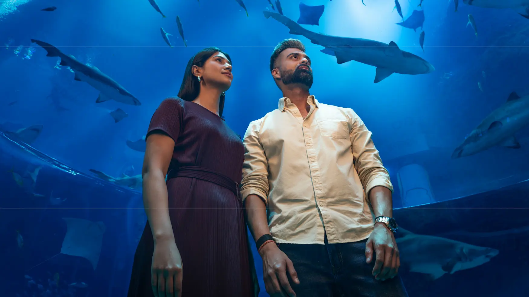 Abu Dhabi free visa for Indian tourists